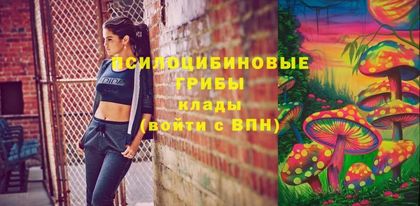 эйфоретик Каменка
