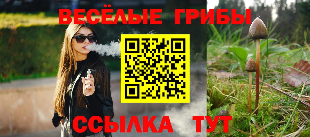 Нефтекамск  Псилоцибиновые грибы мухоморы  Вход с VPN 